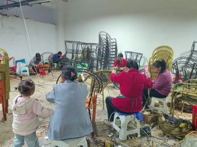 楊林 以藤藝事業“點亮”生活之光，打造縫紉日用品批發新篇章